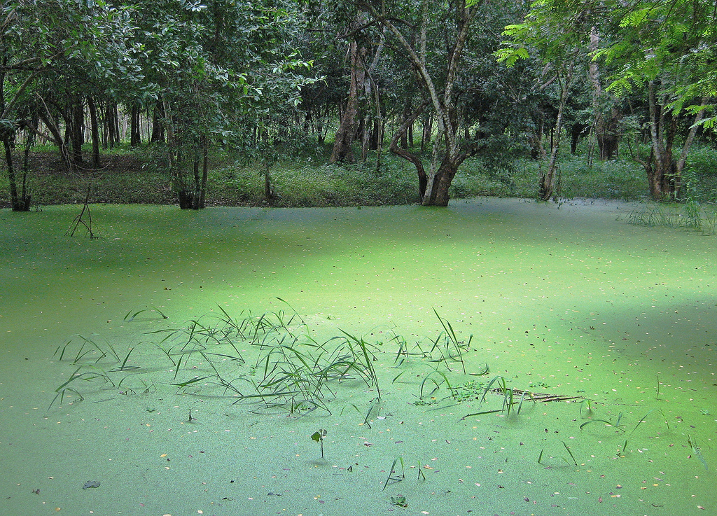 What’s next for Physiotherapy: Euthanizing the status?quo?