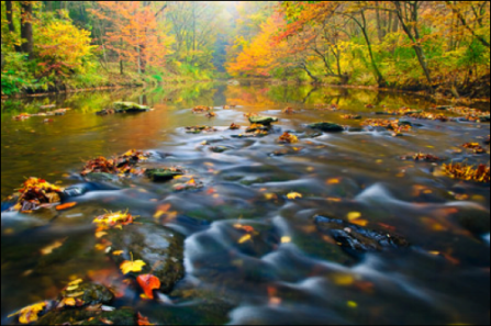 Physiotherapy: A process based approach: Part?2