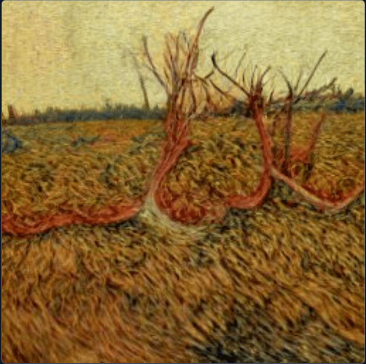 Physiotherapy: The Body and the Rhizome?(#BTCP)